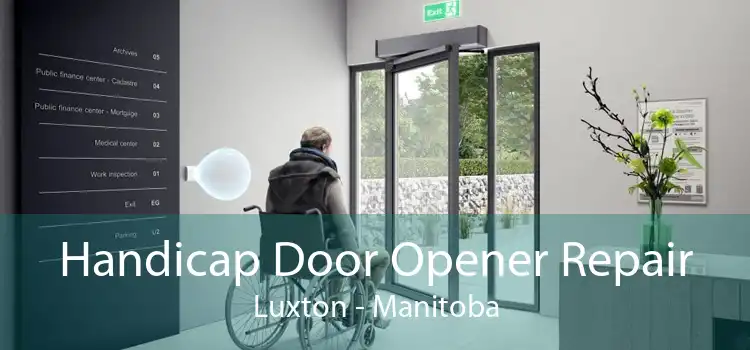 Handicap Door Opener Repair Luxton - Manitoba