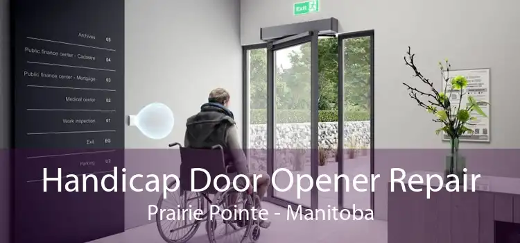 Handicap Door Opener Repair Prairie Pointe - Manitoba