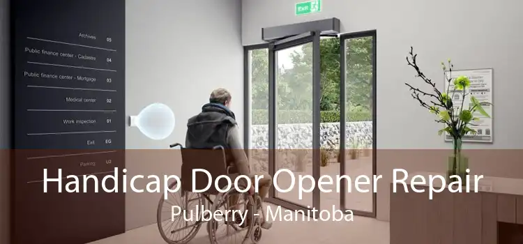 Handicap Door Opener Repair Pulberry - Manitoba