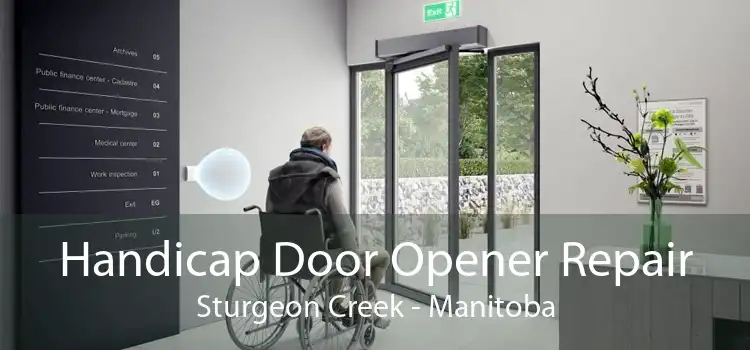 Handicap Door Opener Repair Sturgeon Creek - Manitoba