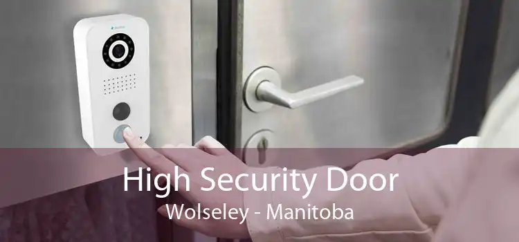 High Security Door Wolseley - Manitoba