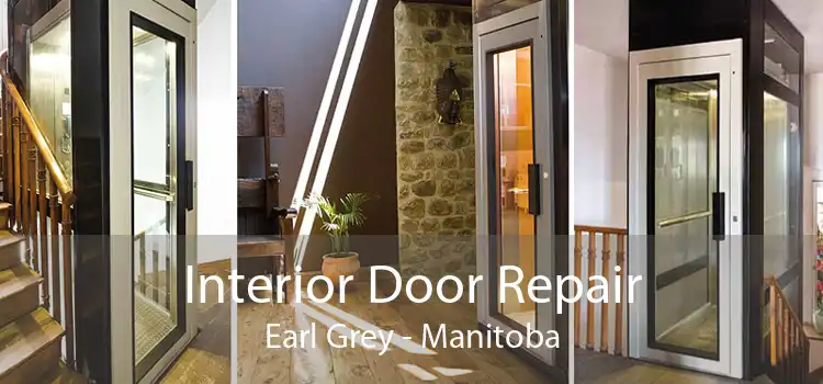 Interior Door Repair Earl Grey - Manitoba