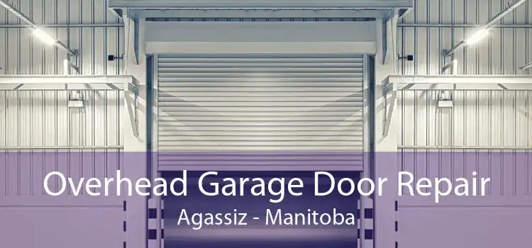 Overhead Garage Door Repair Agassiz - Manitoba