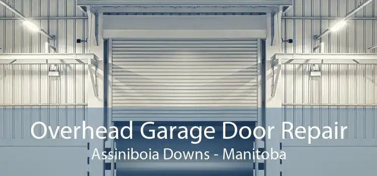 Overhead Garage Door Repair Assiniboia Downs - Manitoba
