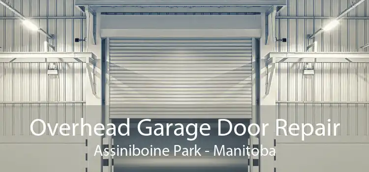 Overhead Garage Door Repair Assiniboine Park - Manitoba