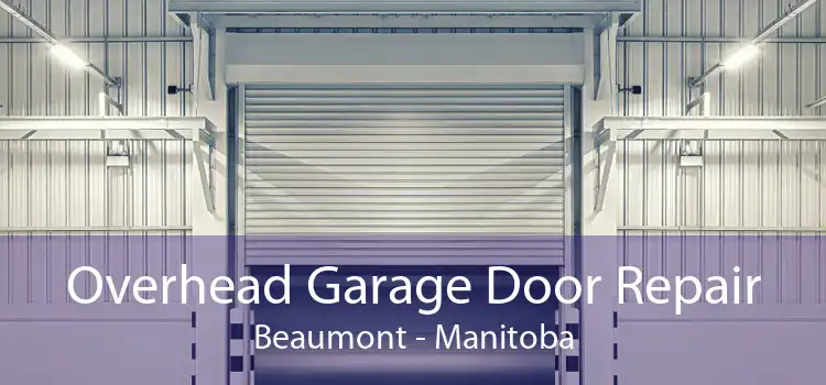 Overhead Garage Door Repair Beaumont - Manitoba