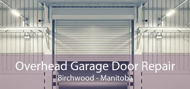 Overhead Garage Door Repair Birchwood - Manitoba