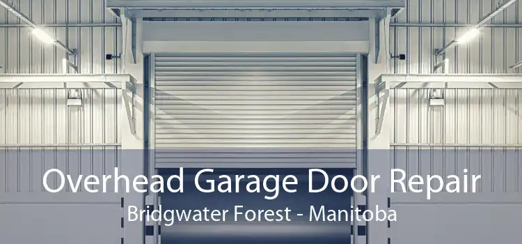 Overhead Garage Door Repair Bridgwater Forest - Manitoba
