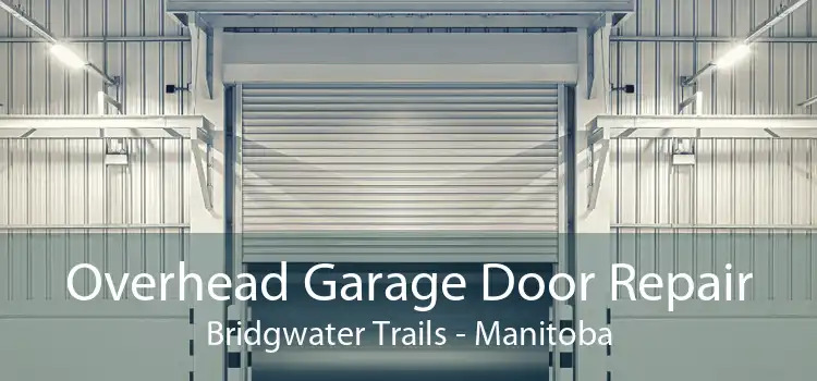 Overhead Garage Door Repair Bridgwater Trails - Manitoba