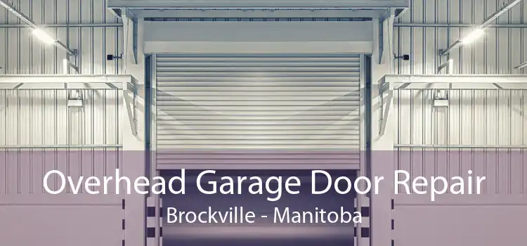 Overhead Garage Door Repair Brockville - Manitoba