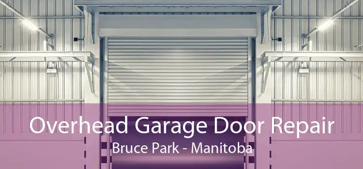 Overhead Garage Door Repair Bruce Park - Manitoba