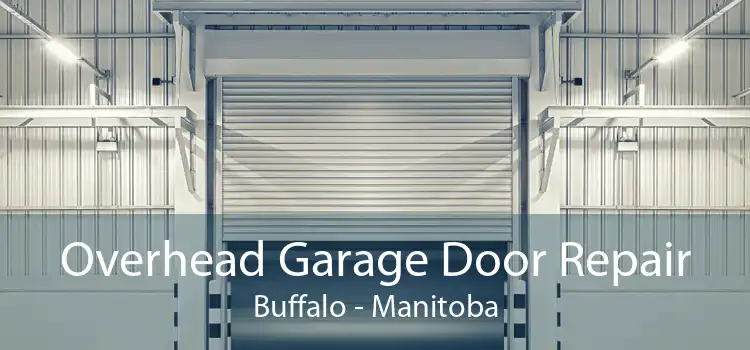 Overhead Garage Door Repair Buffalo - Manitoba