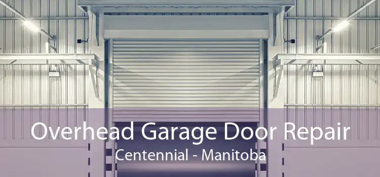 Overhead Garage Door Repair Centennial - Manitoba