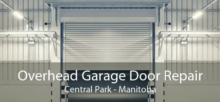 Overhead Garage Door Repair Central Park - Manitoba