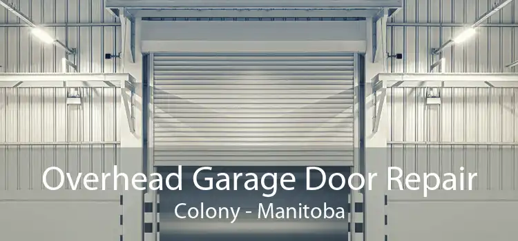 Overhead Garage Door Repair Colony - Manitoba