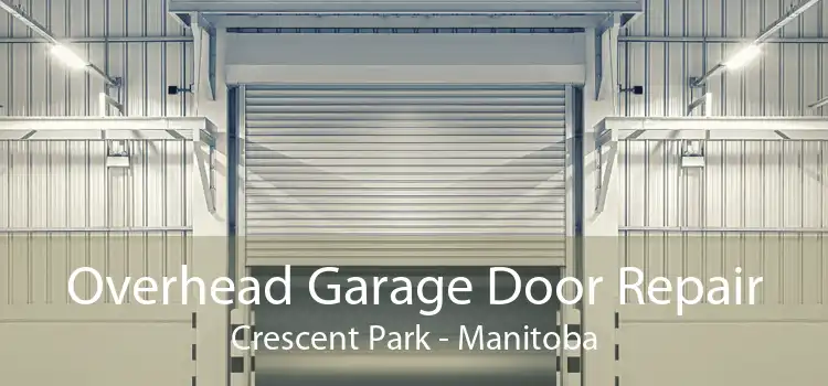 Overhead Garage Door Repair Crescent Park - Manitoba