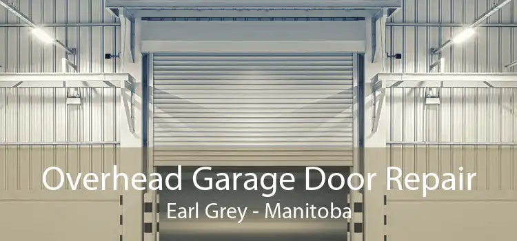 Overhead Garage Door Repair Earl Grey - Manitoba