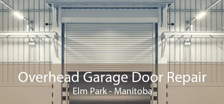Overhead Garage Door Repair Elm Park - Manitoba