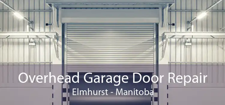 Overhead Garage Door Repair Elmhurst - Manitoba