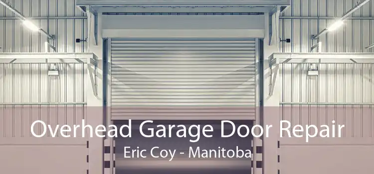 Overhead Garage Door Repair Eric Coy - Manitoba