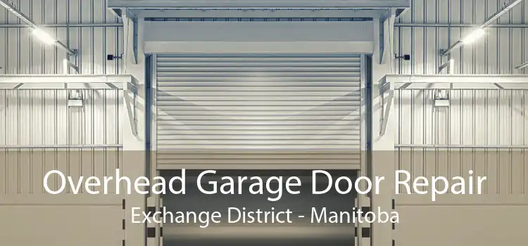 Overhead Garage Door Repair Exchange District - Manitoba