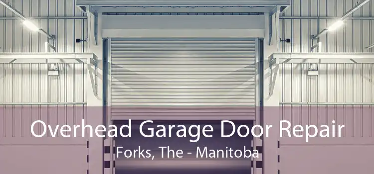 Overhead Garage Door Repair Forks, The - Manitoba