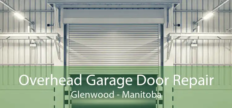 Overhead Garage Door Repair Glenwood - Manitoba