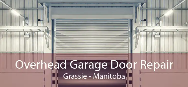 Overhead Garage Door Repair Grassie - Manitoba