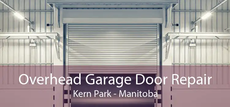 Overhead Garage Door Repair Kern Park - Manitoba