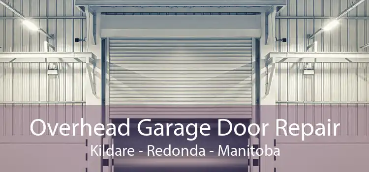 Overhead Garage Door Repair Kildare - Redonda - Manitoba