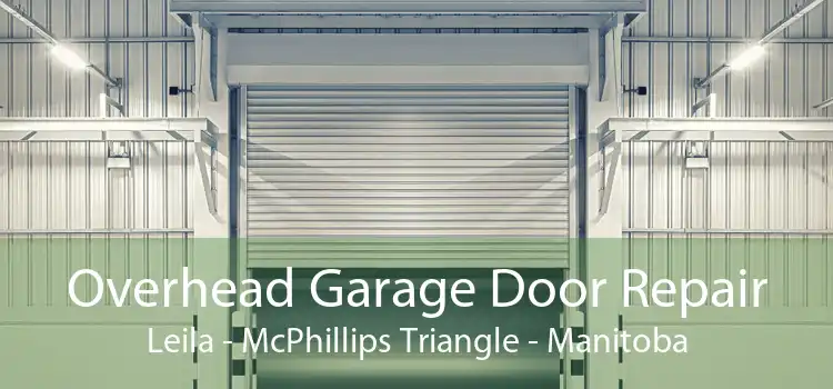 Overhead Garage Door Repair Leila - McPhillips Triangle - Manitoba