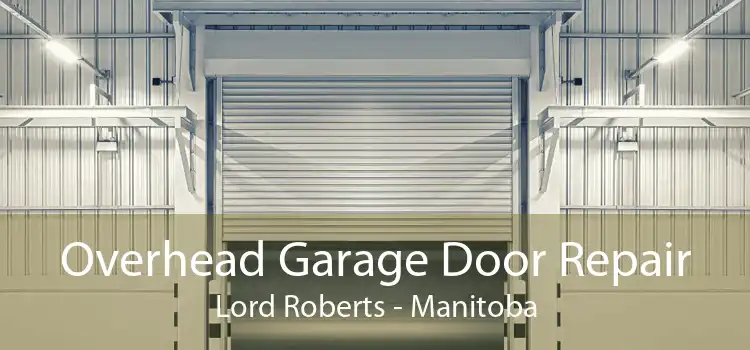 Overhead Garage Door Repair Lord Roberts - Manitoba
