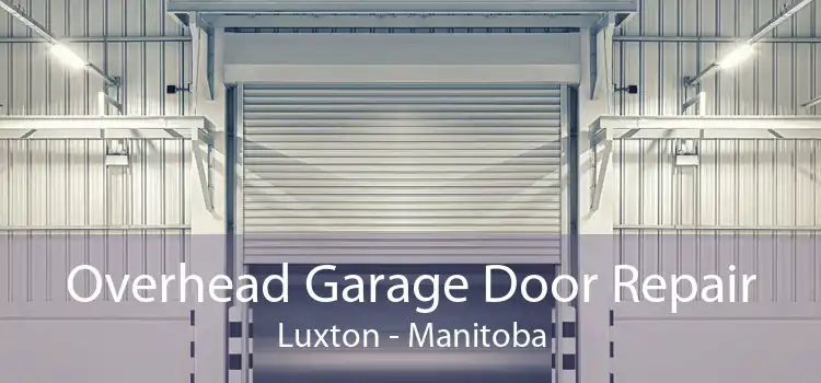 Overhead Garage Door Repair Luxton - Manitoba