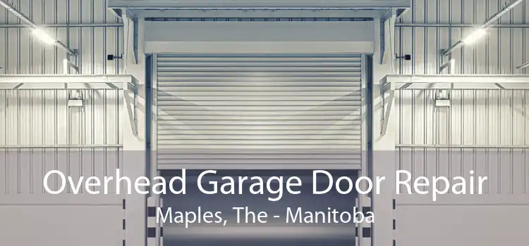Overhead Garage Door Repair Maples, The - Manitoba