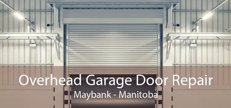 Overhead Garage Door Repair Maybank - Manitoba