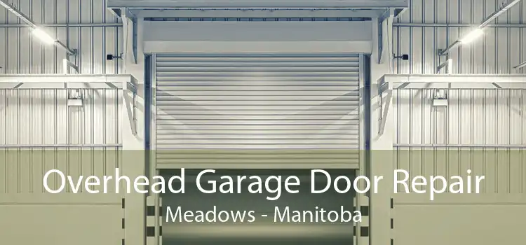 Overhead Garage Door Repair Meadows - Manitoba