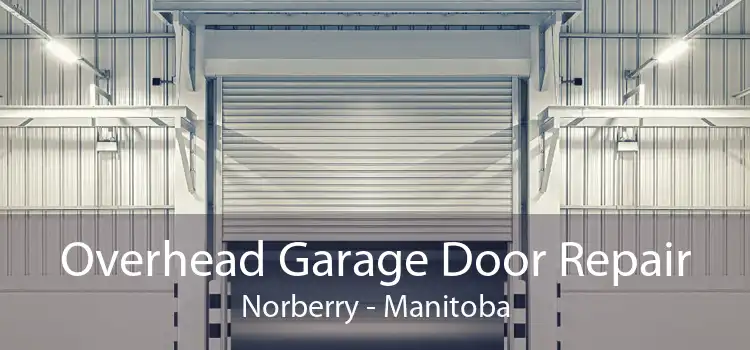 Overhead Garage Door Repair Norberry - Manitoba