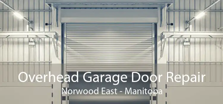 Overhead Garage Door Repair Norwood East - Manitoba
