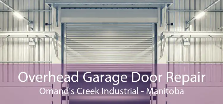 Overhead Garage Door Repair Omand's Creek Industrial - Manitoba