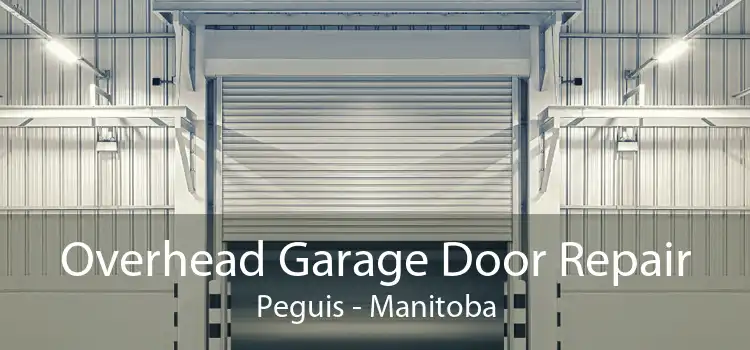 Overhead Garage Door Repair Peguis - Manitoba