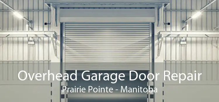 Overhead Garage Door Repair Prairie Pointe - Manitoba