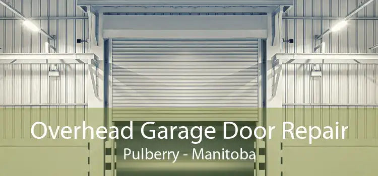 Overhead Garage Door Repair Pulberry - Manitoba