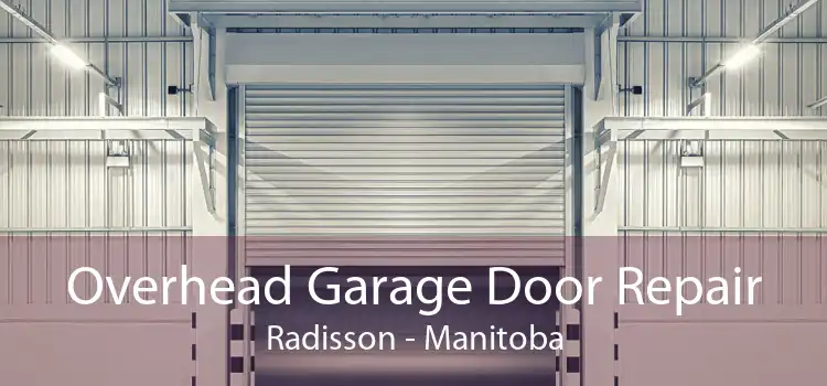 Overhead Garage Door Repair Radisson - Manitoba