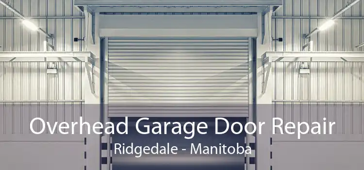 Overhead Garage Door Repair Ridgedale - Manitoba