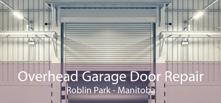 Overhead Garage Door Repair Roblin Park - Manitoba