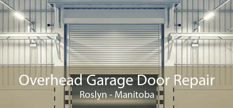 Overhead Garage Door Repair Roslyn - Manitoba