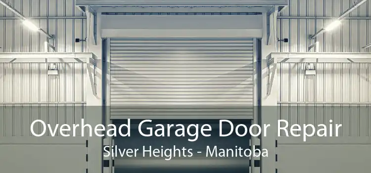 Overhead Garage Door Repair Silver Heights - Manitoba