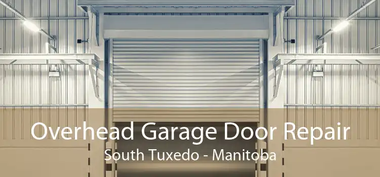 Overhead Garage Door Repair South Tuxedo - Manitoba