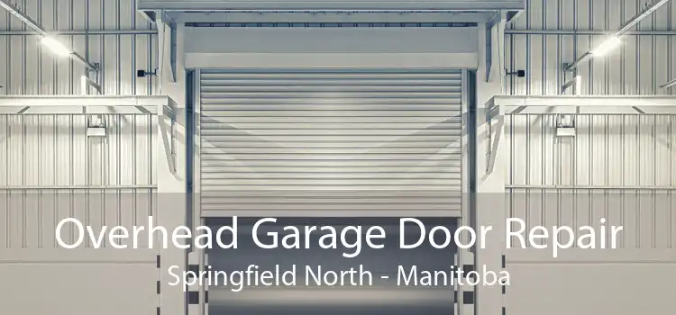 Overhead Garage Door Repair Springfield North - Manitoba
