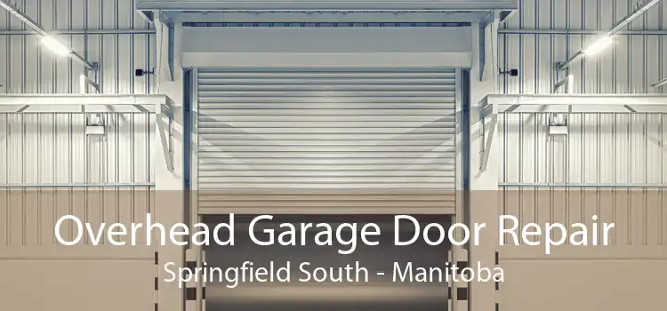 Overhead Garage Door Repair Springfield South - Manitoba